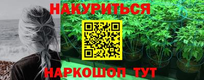 дживик Новозыбков