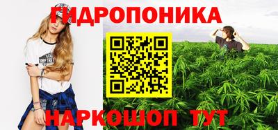 дживик Новозыбков